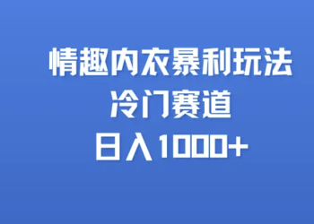 情趣内衣玩法，冷门赛道，日入1000+