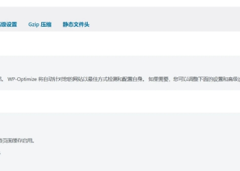 WP-Optimize Premium v4.2.2 – WP优化加速与缓存插件