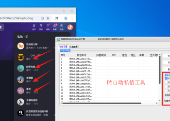 最新版DY私信工具，日引流2000+ 不频繁私信