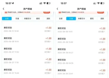 饿了么（淘宝闪购）录屏单一单1.6元一次10单，一轮16米，已变现700元