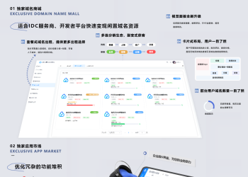 【公测免费】派小星DNS二级域名分发V2.0重构版