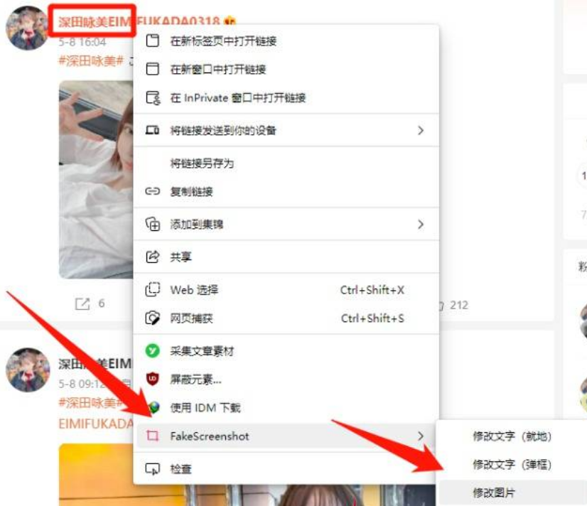 FackScreenshot网页随心改插件