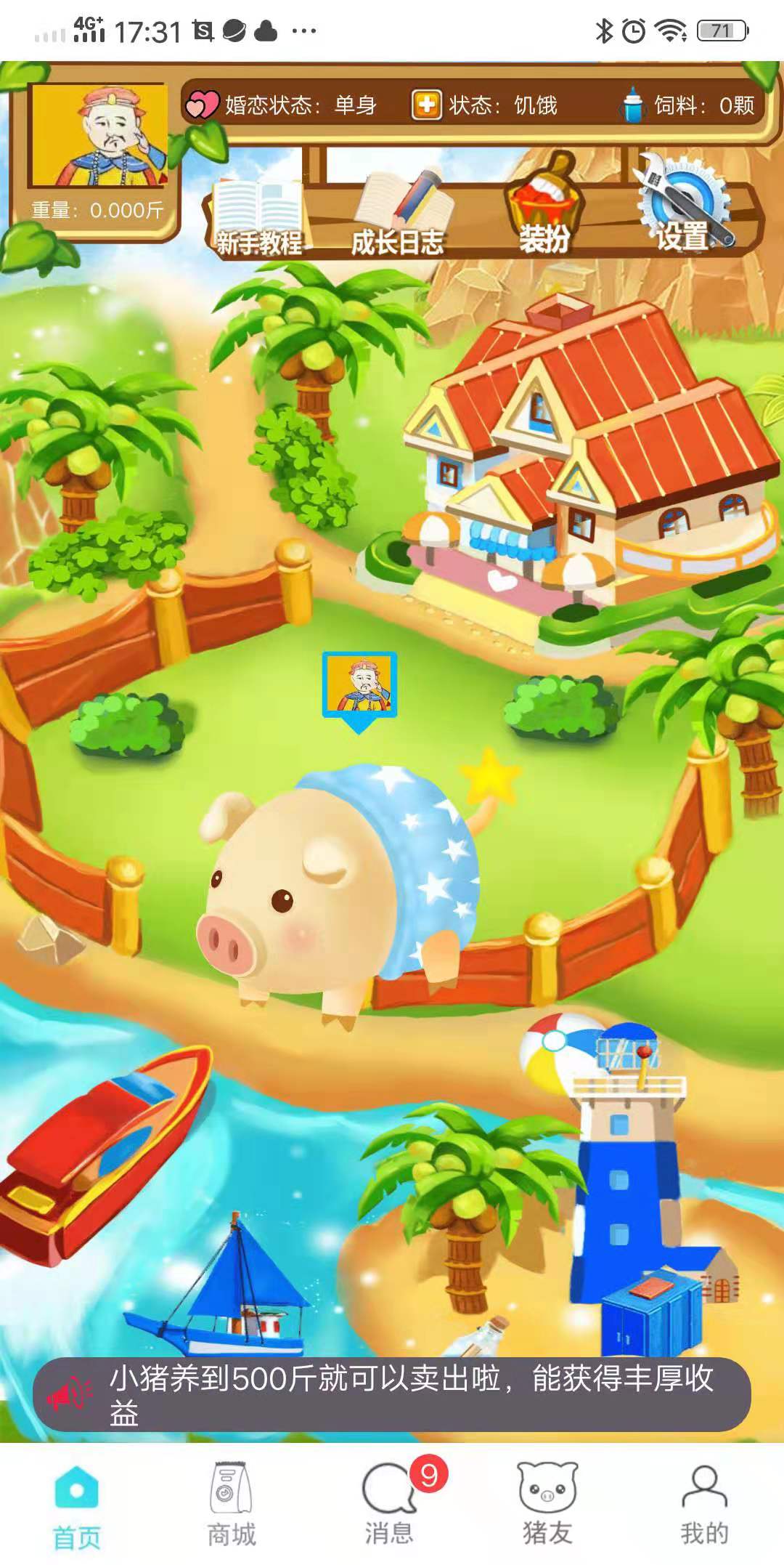 每天养猪可赚500元