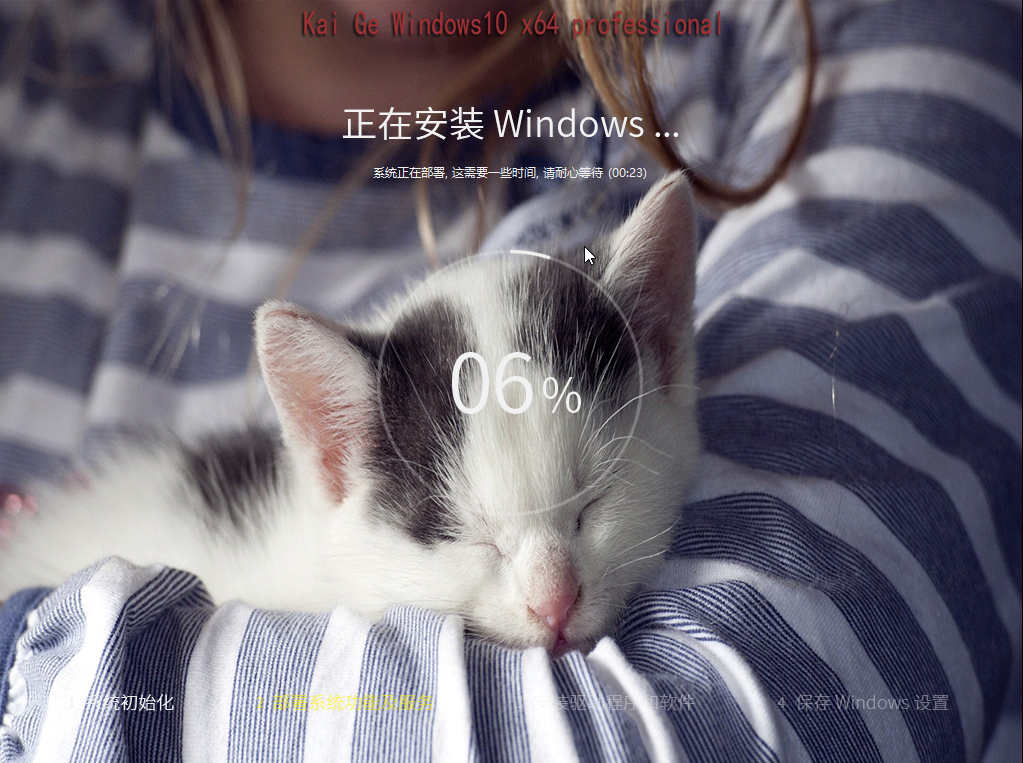 Kai Ge Win10 x64专业版