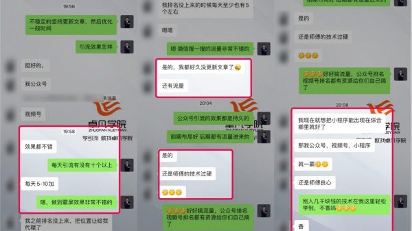玩转微信搜一搜霸屏引流技术日引流300+精准流量