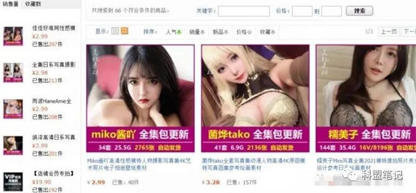 做套图的营销变现纯搬砖也能赚钱