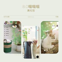 8.0喵喵喵美化包破口令 破闪照 防撤回 破语音 防冻结 破表情