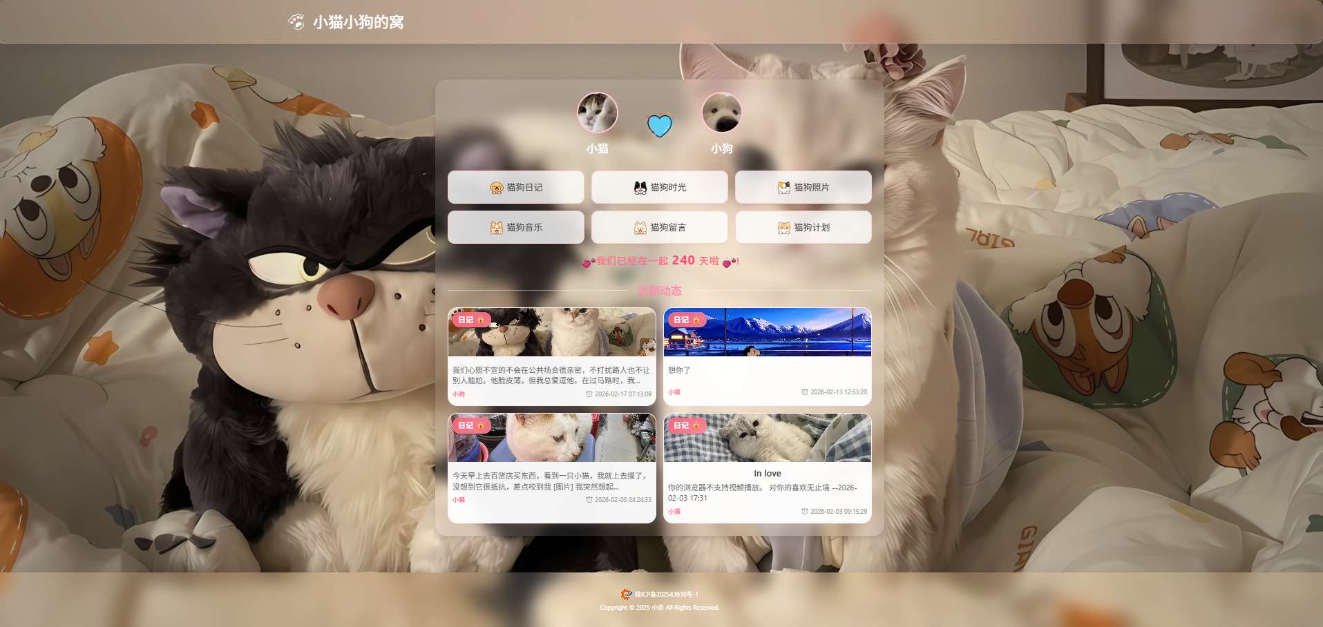 小奈猫狗情侣博客